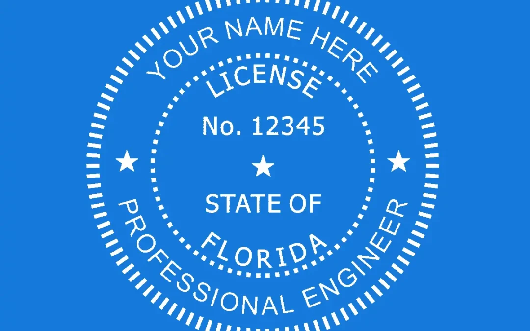 What is a Professional Engineer?